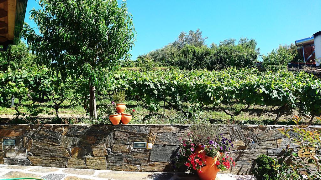 Douro Valley - Casa Vale Do Douro Lamego Exterior photo