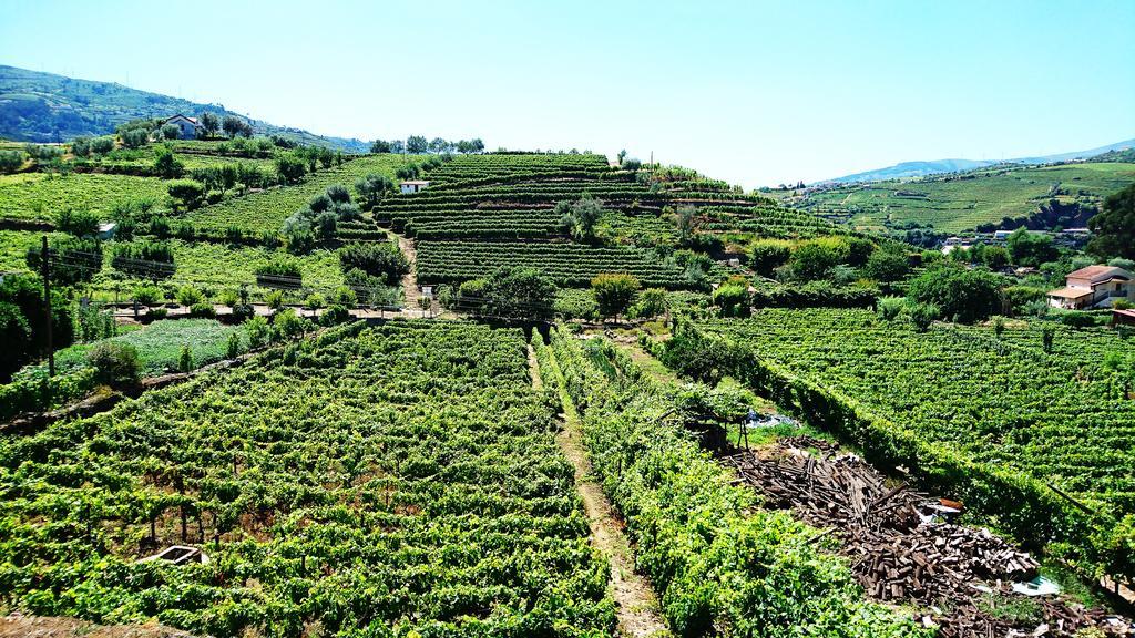 Douro Valley - Casa Vale Do Douro Lamego Exterior photo